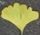 ityou-9-.jpg(2994 byte)