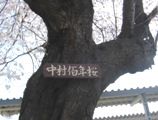 钆ϔNŔB06.04.04.