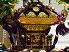 招き猫の今戸神社。'13.06.02.