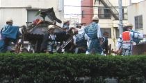 明治大神輿がトラックに積まれて連合渡御会場に登場。07.06.10.