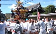 揃いの印半纏の男衆で威勢よく渡御です。07.09.16.
