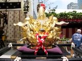 尖がり角の雄獅子。07.05.12.