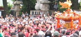 神輿も緋色に染まる粋な半纏と鉢巻の元祖女神輿。07.05.13.