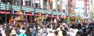 下町浅草の三社祭は神輿と担ぎ手と見物客が一帯です。07.05.20.