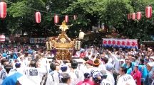 初夏はやはり白色の印半纏が映える。07.05.27.