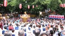 町会神輿は花園神社本社神輿と同型の雷電神輿。07.05.27.