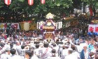 新宿一丁目町会神輿。07.05.27.