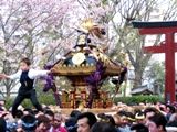 鳥居を潜れば遅咲き桜が神輿を出迎える。07.04.08.