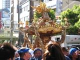 目黒下一町会神輿。07.09.09.