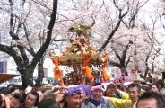 見たか!これが神輿担ぎの雄姿だと誇示をする。07.04.01.