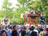 縦棒に跨り扇子と掛け声で指揮をする子供。06.11.05.