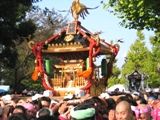 国分寺睦会の神輿。06.11.05.