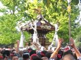 国分寺大鳥居の神輿。06.11.05.