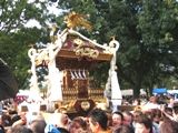 最後の担ぎ納めとばかりに魂振りを続ける。06.11.05.