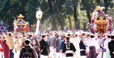 南参道を社殿に巡行する神輿たち。07.02.11.