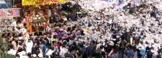 桜愛で神輿愛でる担ぎ手たち。07.04.01.
