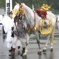 神幸祭の先頭の御神馬。06.06.09.