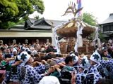 鎮座祭に向かう御本社神輿。06.05.06.