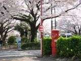wʂ̍ƐԂ~`|XgB05.04.09.