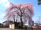 ėǍDȐłȂJłB07.03.29.
