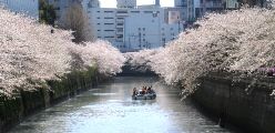 太鼓橋を下る船上にカメラを取り付けた目黒川を豊かな環境にする会の調査船。07.04.05.