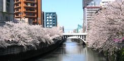 太鼓橋よりアーチ式のシルエットも美しい目黒新橋。07.04.05.