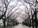 ؁B07.04.05.