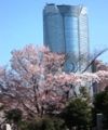 霊園からの遠望。まるで別世界。05.04.07.