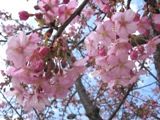 ɍ炢͒ÍB06.03.12.