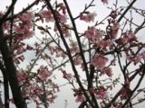 {̉͒Í05.02.12