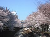 c쉈؁B06.03.31.