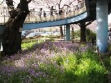 ̍ɊӁB05.04.08.