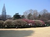 䉑XĝO̍g̔~сB06.03.08.