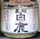 黒松白鹿。山王日枝神社。06.02.09.
