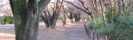 尾根緑道のウオーキングコース。07.01.09.