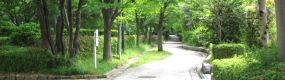 南大沢遊歩道。06.05.24.