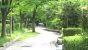北側の遊歩道。06.05.23.