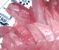 080927-sasim.jpg(1681 byte)