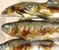 080927-suyaki-ayu.jpg(1938 byte)