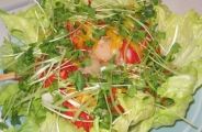 090328-hotate-ae.jpg(8060 byte)