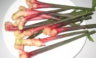 愛情の家庭菜園の葉生姜。09.06.27.