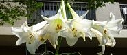 100817-takasago.jpg(6049 byte)