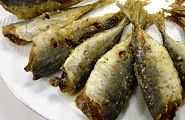 120204-koaji.jpg(8671 byte)