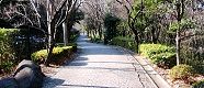 081229-冬日の遊歩道。