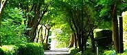 100824-yuhodou.jpg(7450 byte)