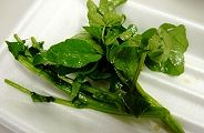 130425-kureson.jpg(6925 byte)