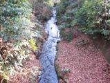 万助橋から望む玉川上水。08.01.16.