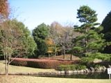 秋の古民家庭園が昼食場所です。07.11.14.