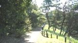 防人見返りの峠.07.11.14.