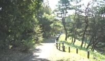 古しのぶ防人見返り峠。07.11.14.